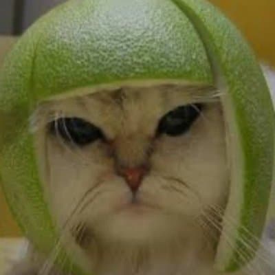Catwifmelon