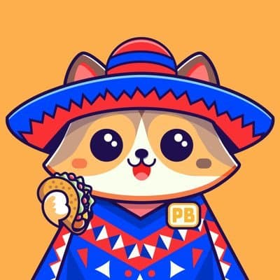 Poncho on BASE