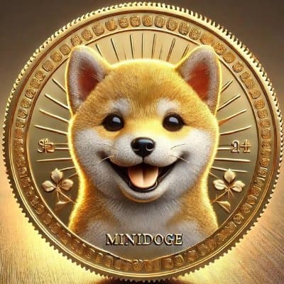 MINIDOGE (Minidoge) CTO Community