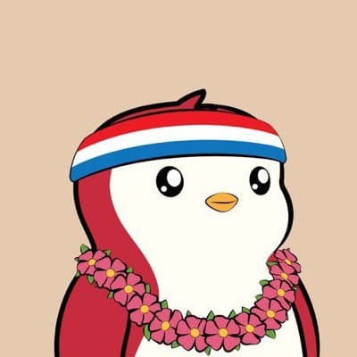 Rhys 🐧